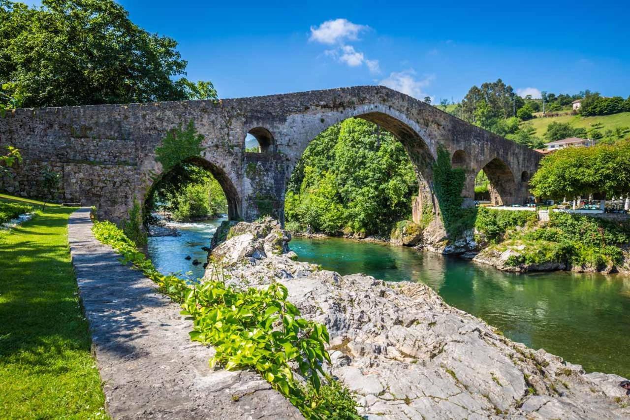 Rocamar Cangas de Onis
